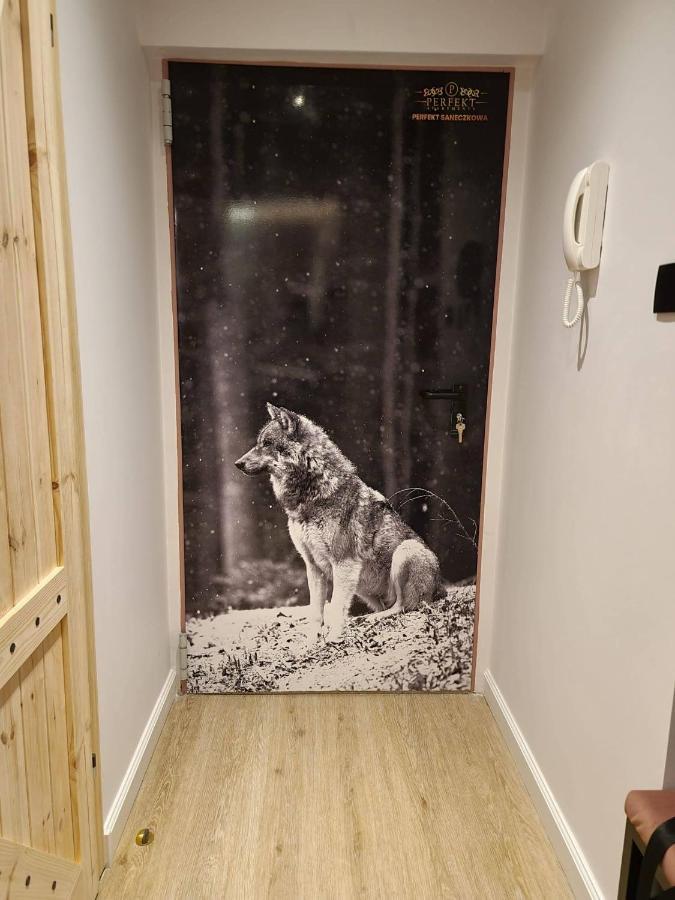 Perfekt Apartament Karpacz Kültér fotó